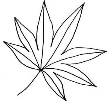 枫叶简笔画