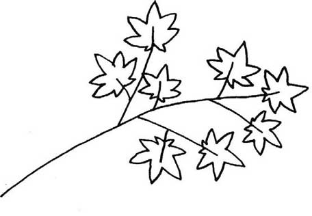 枫叶简笔画