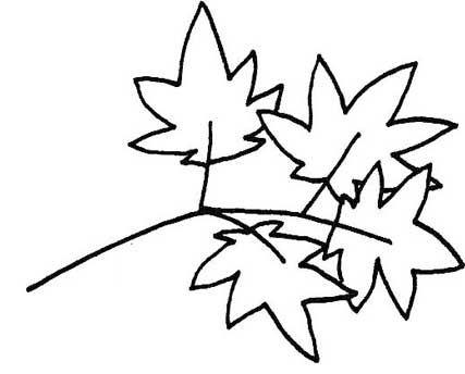 枫叶简笔画