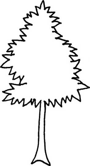 枫叶简笔画
