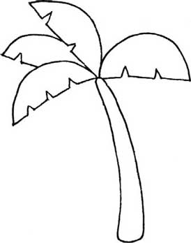 椰子树简笔画