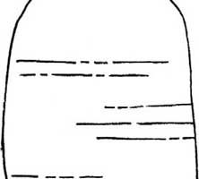 猴面包树简笔画