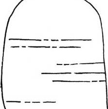 猴面包树简笔画