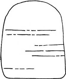 猴面包树简笔画