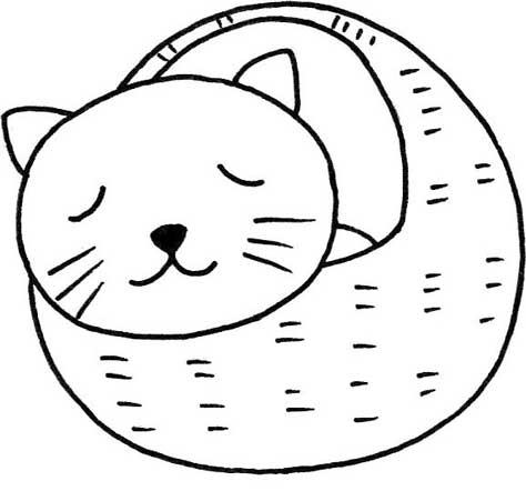 猫咪简笔画