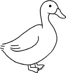 鸭子简笔画