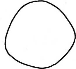 狐狸简笔画