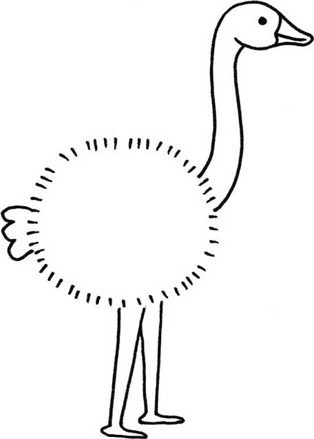 鸵鸟简笔画