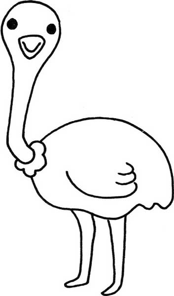 鸵鸟简笔画