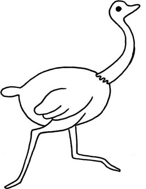 鸵鸟简笔画