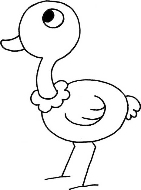 鸵鸟简笔画