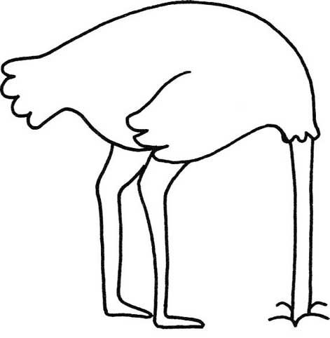 鸵鸟简笔画