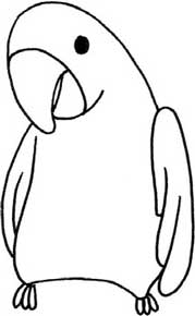 鹦鹉简笔画