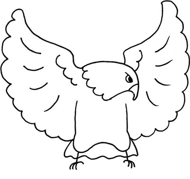 老鹰简笔画