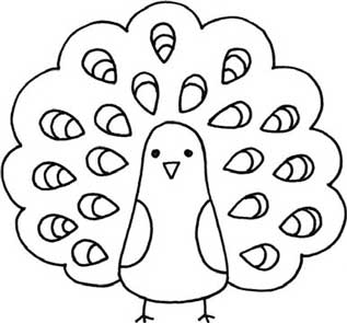 孔雀简笔画