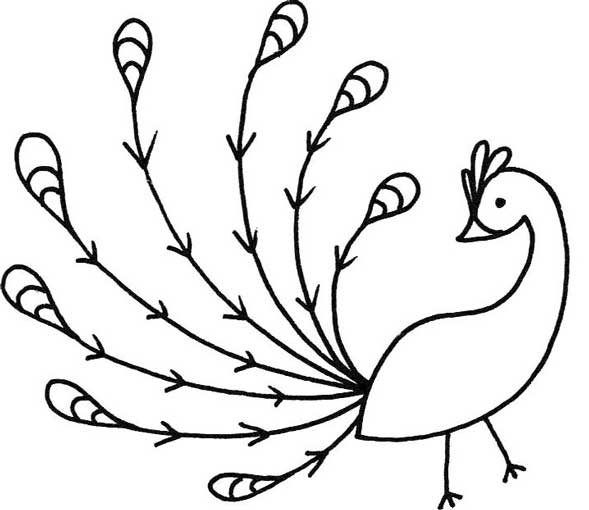 孔雀简笔画