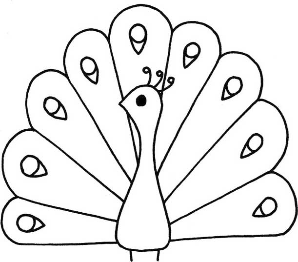 孔雀简笔画