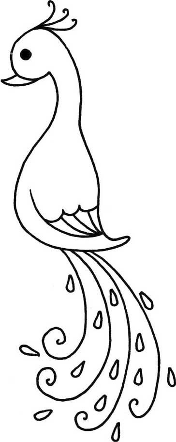 孔雀简笔画