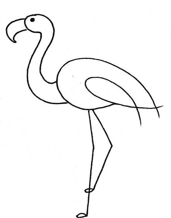火烈鸟简笔画