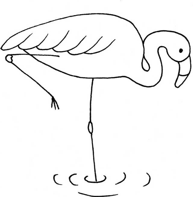 火烈鸟简笔画
