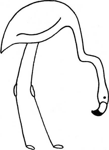 火烈鸟简笔画