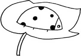 瓢虫简笔画