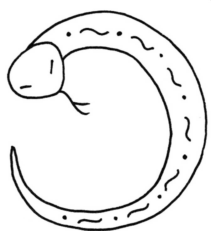 蛇简笔画