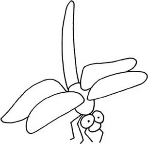 蜻蜓简笔画