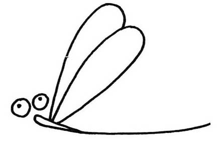 蜻蜓简笔画