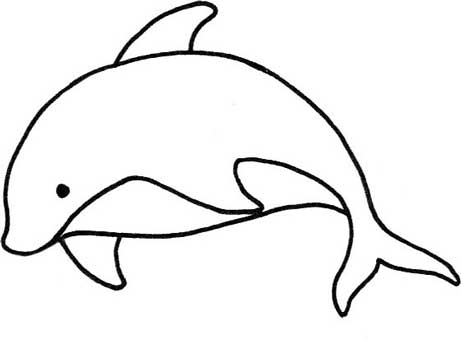 海豚简笔画