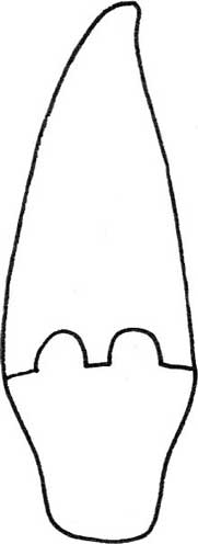 鳄鱼简笔画