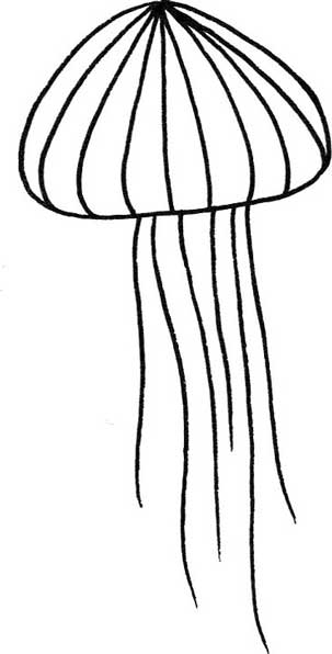 水母简笔画