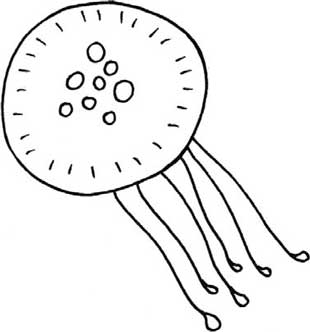水母简笔画