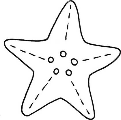 贝壳简笔画