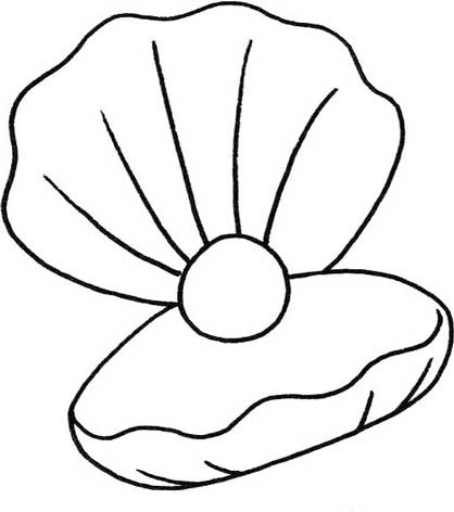 贝壳简笔画