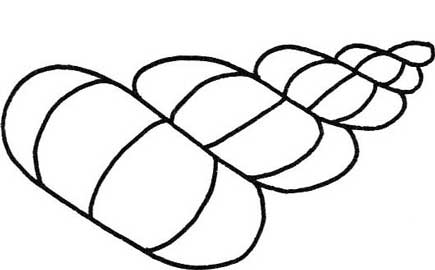 贝壳简笔画