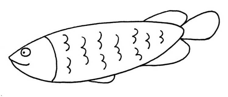 深海鱼简笔画