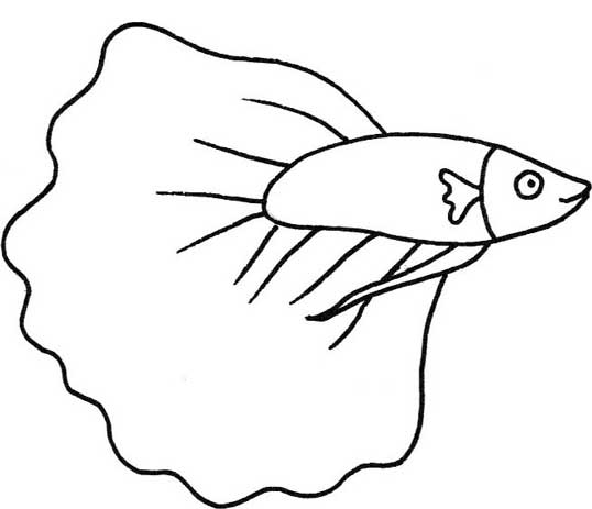 深海鱼简笔画