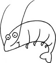 虾简笔画
