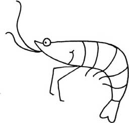 虾简笔画