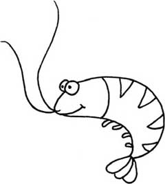 虾简笔画