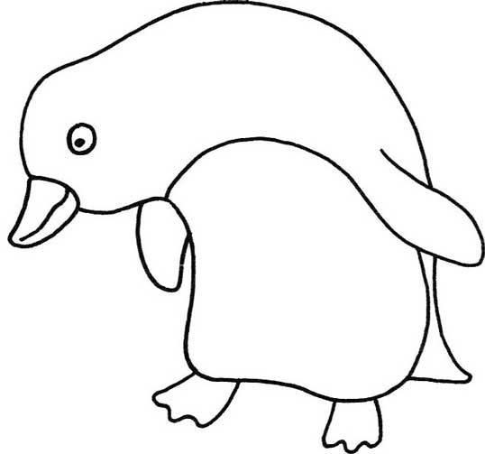 企鹅简笔画