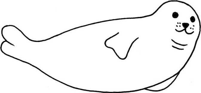 海豹简笔画