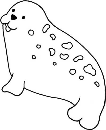海豹简笔画