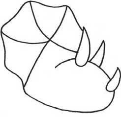三角龙简笔画