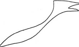 翼龙简笔画