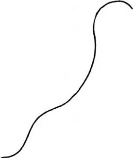 恐龙简笔画