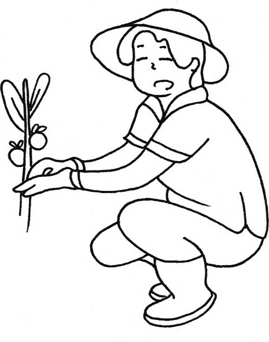 农夫简笔画