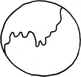 地球仪简笔画
