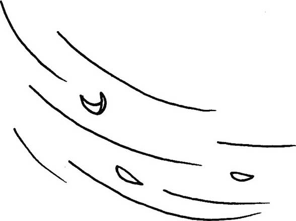 风简笔画